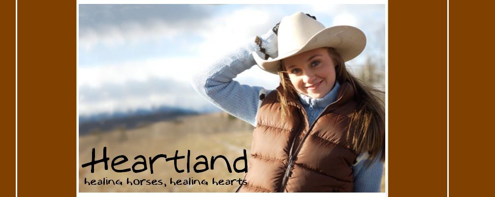Heartland - healing horses, haling hearts